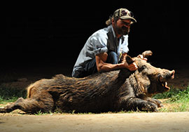 Wild Hog Hunts in Texas