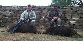 Texas Pig Hunts